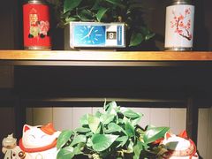 -百好乐宠物友好餐厅(朝外大街店)