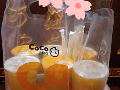 -CoCo都可(白石洲店)