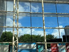 -广西体育中心-游泳馆