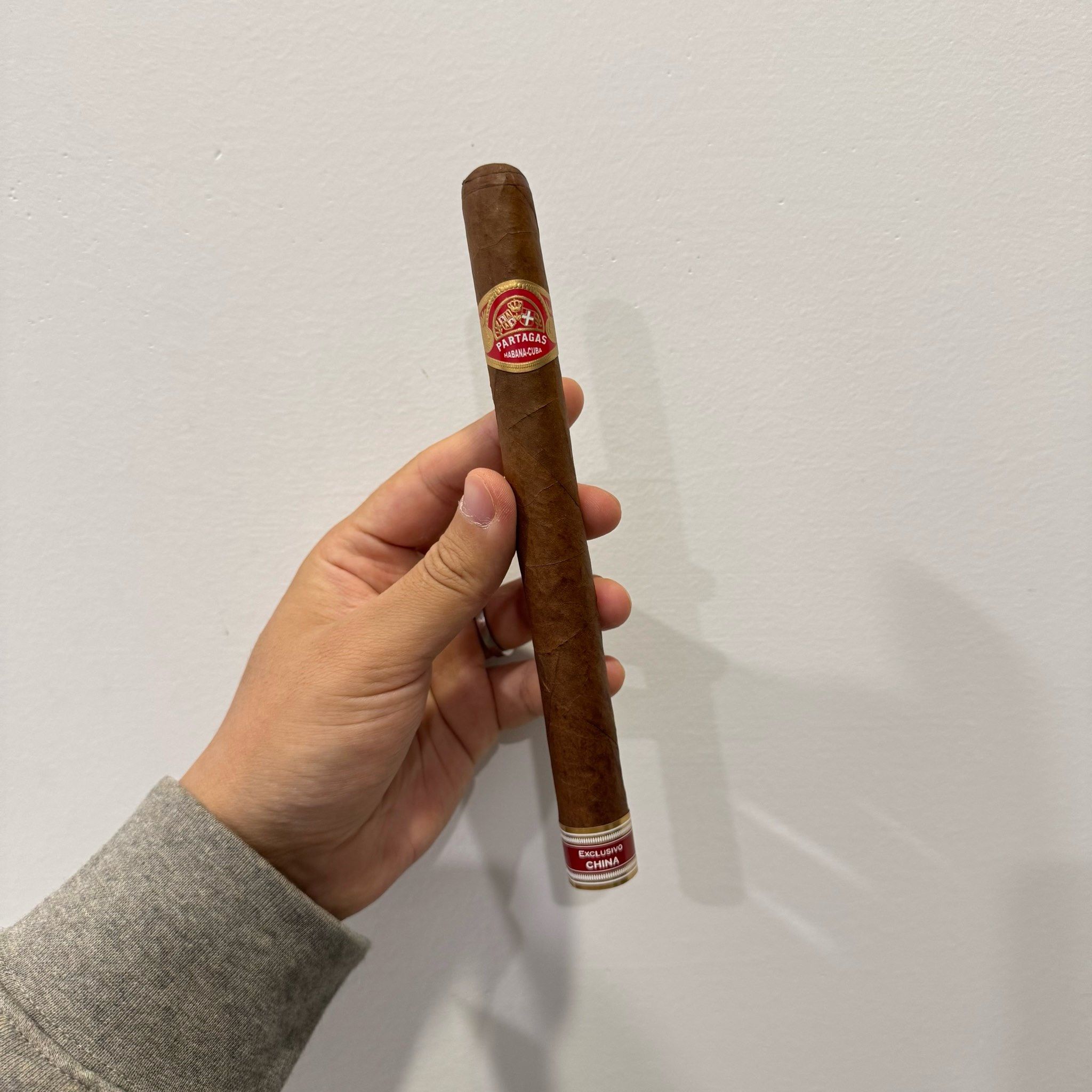 乔丹的最爱 帕特加斯路西塔尼亚