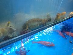 -協成海鮮火鍋(老店)