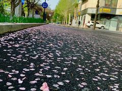 -悠乐汇
