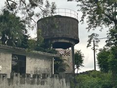 -长洲岛