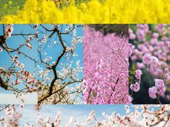 -中国天府农业博览园