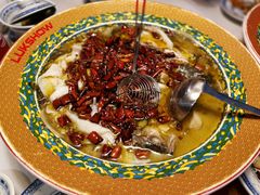 招牌酸菜鲈鱼-禄鼎记·多口味酸菜鱼(侨鑫店)