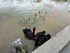 -雅达·阳羡溪山小镇中心