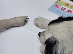 -凤凰汇购物中心