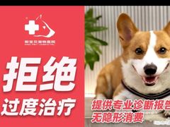 -御宝贝24h宠物医院·转诊中心·CT核磁血透中心(厦门总院)