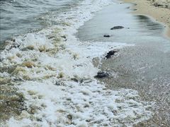 -农垦当壁镇兴凯湖旅游度假区