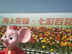 -杭州湾海上花田景区