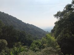 -韬光茶庵