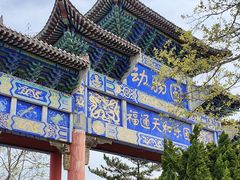 -西霞口神雕山野生动物世界