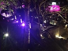 -Rock Bar Bali(Bali)