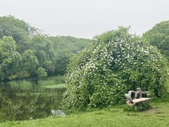 -艾溪湖湿地公园