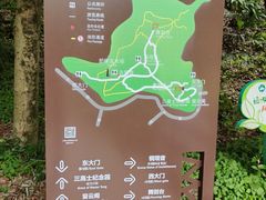 -上海佘山国家森林公园天马山园