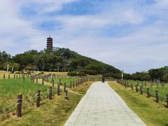 -红花山公园