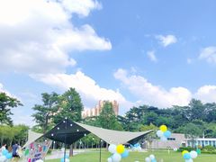 -白石龙音乐公园