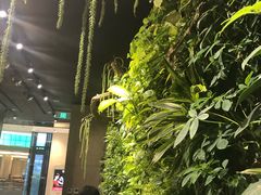 -Seesaw Coffee(环贸iapm店)