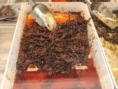 -鑫记婆婆兔·兔头(春熙店)