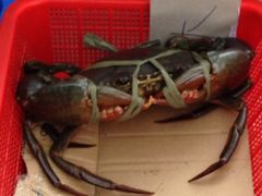 iphone_upload_pic-龙海鲜螃蟹王(宏茂桥店)