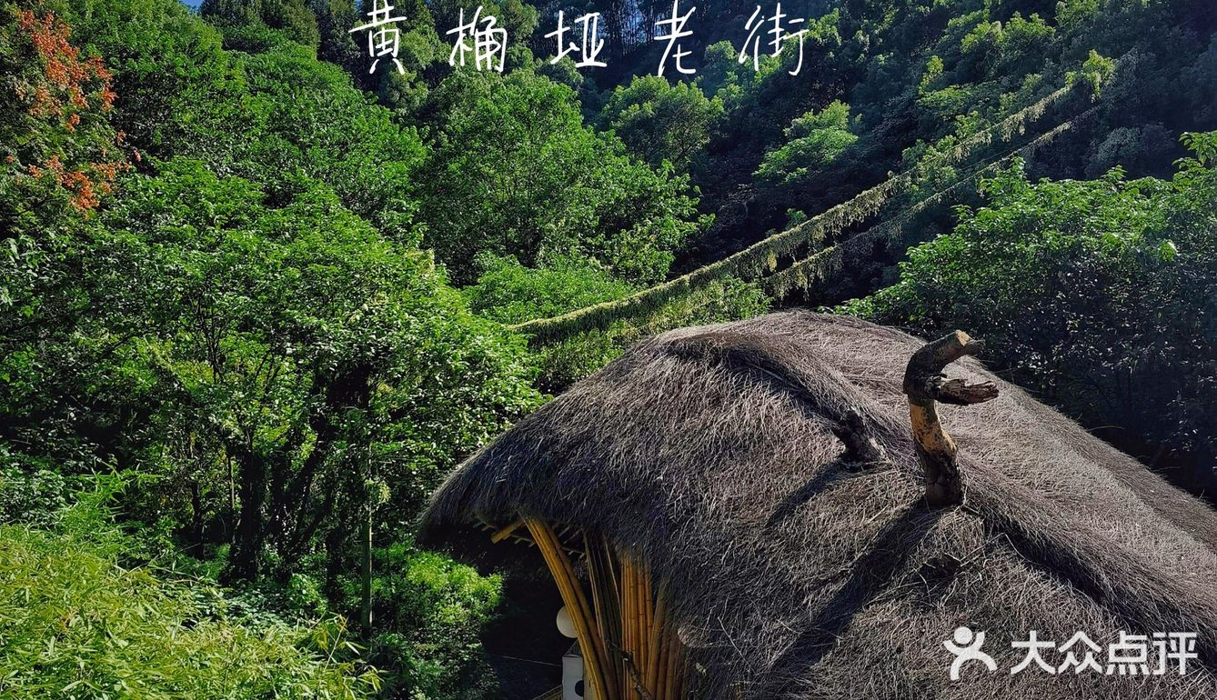 南山上的丛林秘境