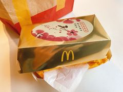 -麦当劳(凌云天地长桥店)