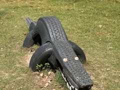 -前小桔亲子创意农场·草莓采摘·露营烧烤