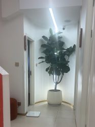 -WENDY·温迪皮肤管理