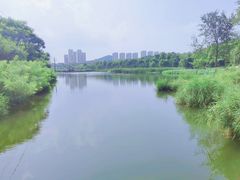 -前关湿地公园