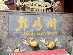 -马六甲鸡场街