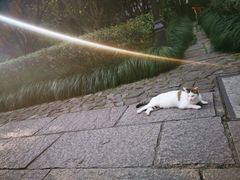 -法云安缦酒店