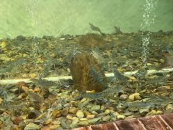 -钓虾工场·钓虾·赶海(回龙观店)