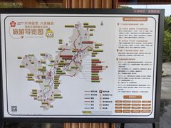 -雁南飞茶田景区