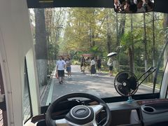 -合肥滨湖国家森林公园