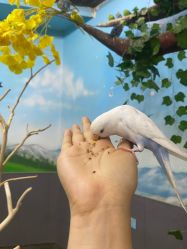 -未来动物城主题公园(正弘城店)