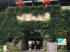 -藏龙百瀑风景区