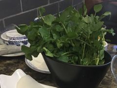 西洋菜-林记潮牛·牛肉火锅(上马墩店)
