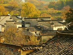 -塔川景区