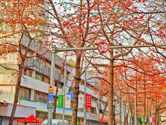 -烈士陵园(地铁站)
