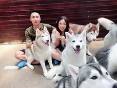 -TrueLove @ Neverland (Husky Cafe)