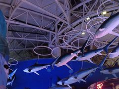 -烟台海昌鲸鲨海洋公园