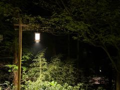-WILDS 野有食(碧坞店)