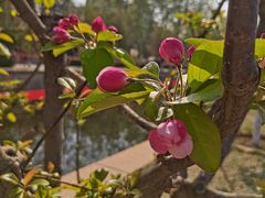 -元大都城垣遗址公园