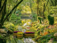 -上海共青森林公园