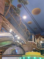 -卡通尼·Safari非洲探索乐园·生日会(金桥国际商业广场店)