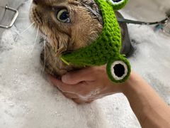 -PETKIT小佩宠物(昭化店)