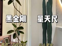 -居丽装饰空间设计(总部)