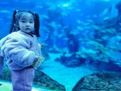 -多彩贵州城极地海洋世界