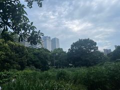-成都市活水公园