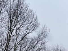 -九龙潭景区